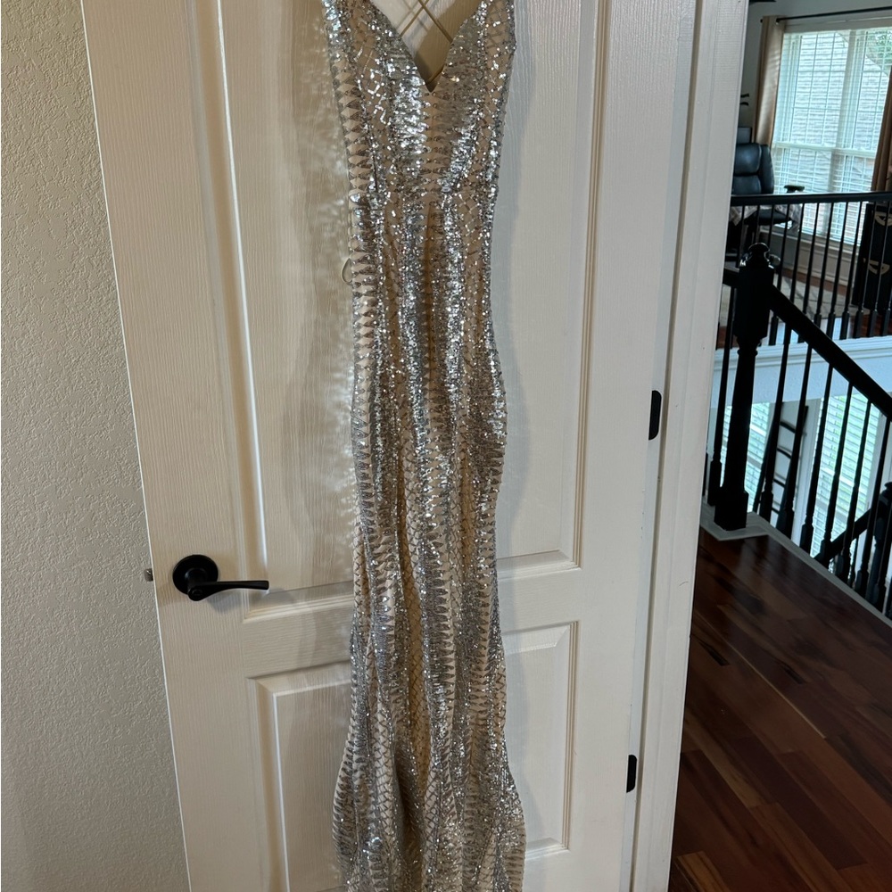 Windsor Glittering Silver Sequin Dress